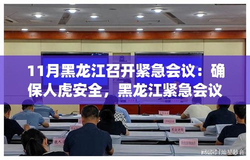 黑龍江召開緊急會(huì)議，共筑人虎安全防線，守護(hù)家園和諧安寧