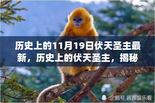 揭秘歷史上的伏天圣主，神秘事件與重大時(shí)刻的交織最新資訊（最新篇）