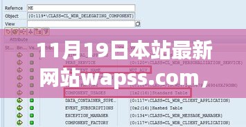 初學者與進階用戶必看，最新網(wǎng)站wapss.com使用指南全攻略