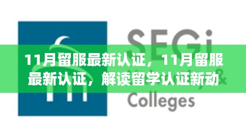 解讀最新留服認(rèn)證動態(tài)，助力留學(xué)生職業(yè)發(fā)展，十一月留學(xué)認(rèn)證更新概覽