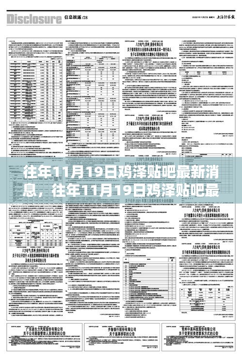 往年11月19日雞澤貼吧最新消息全掌握，獲取攻略與詳解
