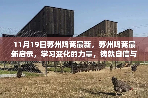 蘇州雞窩最新啟示，學(xué)習(xí)變化的力量，鑄就自信與成就之路