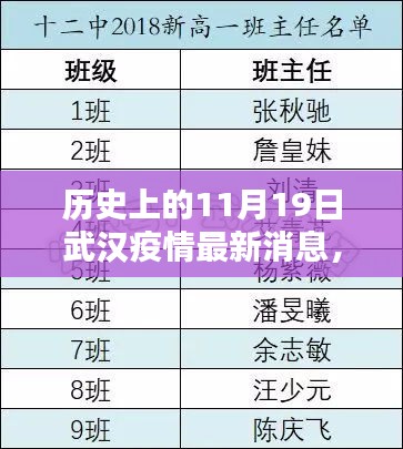 武漢疫情回顧，歷史上的11月19日最新消息解析