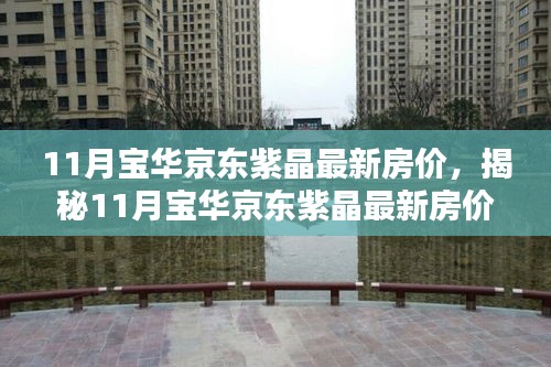 揭秘，11月寶華京東紫晶最新房?jī)r(jià)與投資先機(jī)全解析！