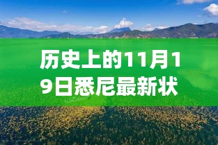 歷史上的11月19日，悉尼最新?tīng)顩r與秘境探索，自然美景中的心靈之旅