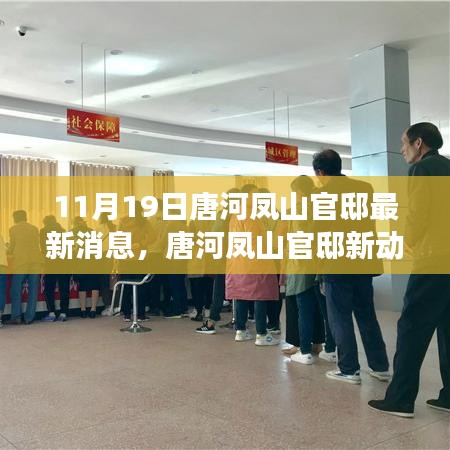 唐河鳳山官邸新動(dòng)態(tài)，蛻變之月，學(xué)習(xí)成就自信之光