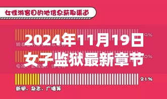 女子監(jiān)獄揭秘，林洛的成長(zhǎng)與蛻變最新章節(jié)（2024年11月19日更新）