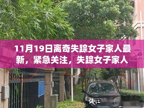 失蹤女子最新動(dòng)態(tài)揭秘，家人緊急關(guān)注，11月離奇失蹤案件真相探尋