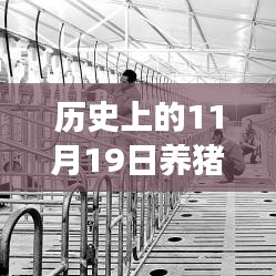 歷史上的11月19日，養(yǎng)豬場用地新政策解讀與操作指南，最新政策解讀及操作指南