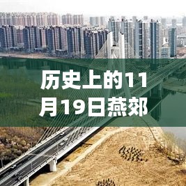 歷史上的11月19日，燕郊徐尹路最新進展全面綜述