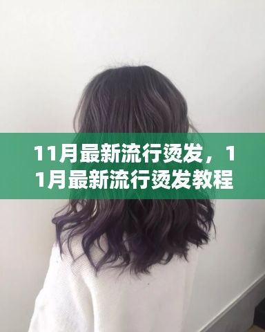 11月最新流行燙發(fā)教程，輕松打造魅力卷發(fā)造型