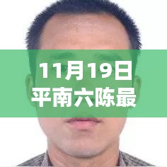 平南六陳最新動態(tài)報道，聚焦要聞，揭秘11月19日最新消息