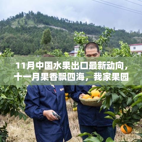 11月水果出口最新動態(tài)，果香飄四海，跨國友情與果園的出口奇遇