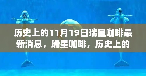 瑞星咖啡歷史上的11月19日，回望與最新消息的影響