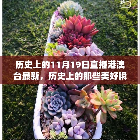 歷史上的美好瞬間，探尋自然美景與心靈的寧靜港灣（直播港澳臺最新）