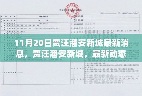 賈汪潘安新城最新動態(tài)揭秘，深度報道，最新消息速遞（11月20日）
