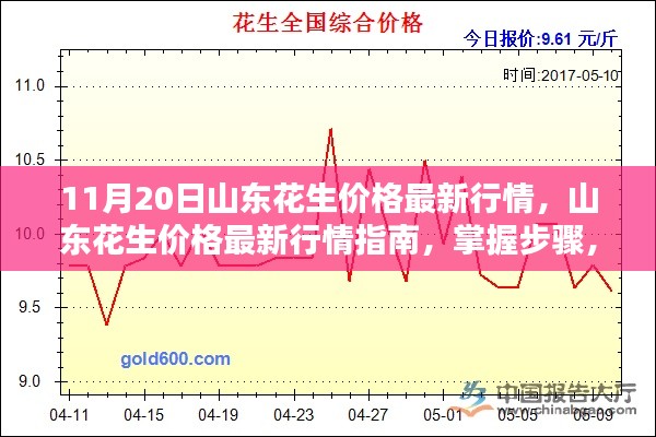 山東花生最新行情解析，掌握價格走勢，洞悉市場動態(tài)（11月20日）