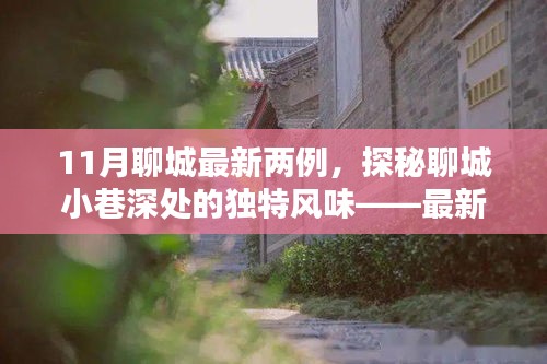 探秘聊城小巷深處，最新發(fā)現(xiàn)的兩家隱藏小店——11月聊城最新兩例獨(dú)特風(fēng)味小店