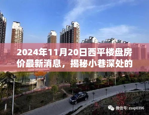 揭秘繁華西平樓盤背后的神秘小店與最新房價(jià)動(dòng)態(tài)，2024年西平房產(chǎn)最新消息及小巷風(fēng)情探索