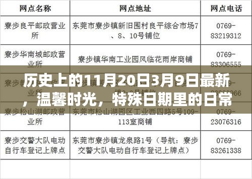 溫馨時光，特殊日期里的日常魔法——歷史上的11月20日與3月9日最新回顧