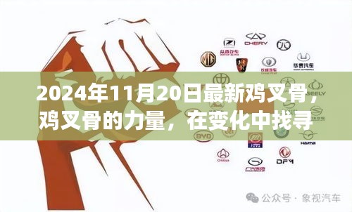 勵志之旅，雞叉骨的力量與自信成就感的探尋之路（2024年11月20日最新）