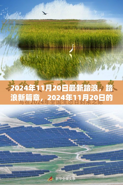 2024年11月20日踏浪新篇章，心靈與自然之旅