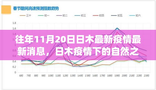 日木疫情最新動(dòng)態(tài)，自然之旅中尋找內(nèi)心寧?kù)o與奇跡的奇跡時(shí)刻