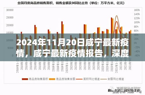 2024年11月20日咸寧疫情報告，深度解析與競品對比，疫情態(tài)勢及應對策略
