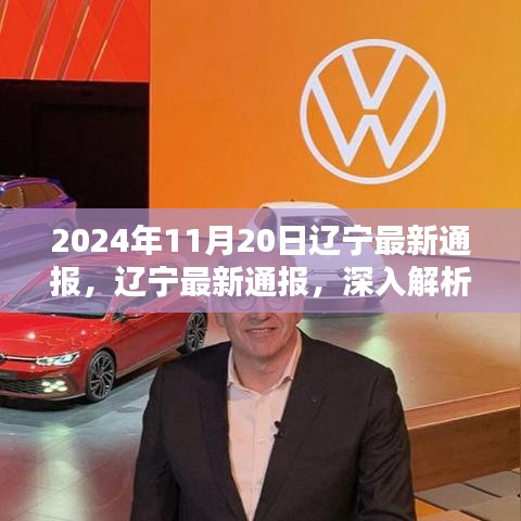 遼寧通報解析，XXXX產(chǎn)品特性與體驗深度探討，競品對比與目標用戶群體深度分析（2024年11月20日）