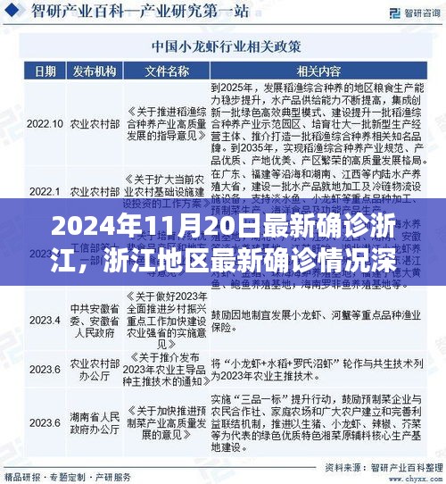 浙江最新確診深度解析，挑戰(zhàn)與機遇并存——浙江地區(qū)疫情報告（2024年11月20日）