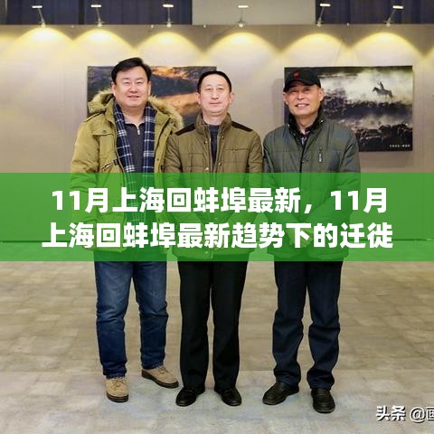 11月上?；匕霾鹤钚纶厔?shì)觀察與遷徙個(gè)人觀點(diǎn)分享