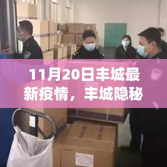 豐城隱秘小巷，疫情下的獨(dú)特風(fēng)味探秘——最新疫情觀察報(bào)告（11月20日）