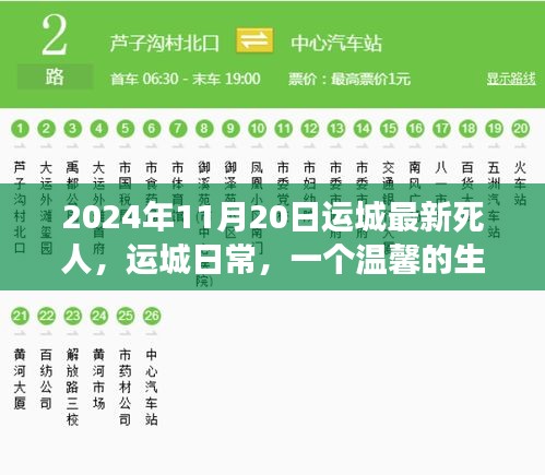 溫馨告別，友情長存——運(yùn)城日常的生命告別故事（2024年11月20日最新）