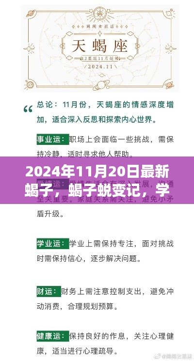 蝎子蛻變之旅，學(xué)習(xí)變化中的自信與成就感探尋（2024年11月20日最新）