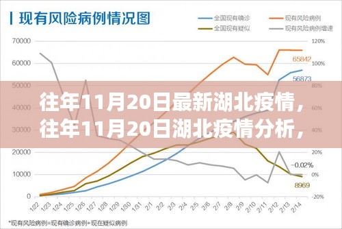 往年11月20日湖北疫情深度分析與解讀，最新數(shù)據(jù)、觀點(diǎn)闡述及趨勢(shì)預(yù)測(cè)