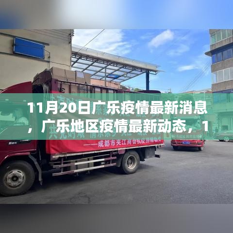 11月20日廣樂疫情最新動態(tài)，回顧與影響