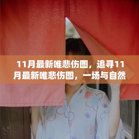 11月最新唯悲傷圖，與自然共舞的心靈治愈之旅