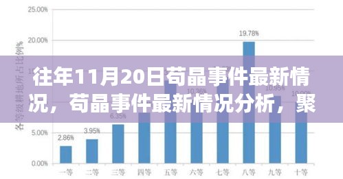 茍晶事件最新動態(tài)與觀點聚焦，最新情況分析與聚焦某某觀點