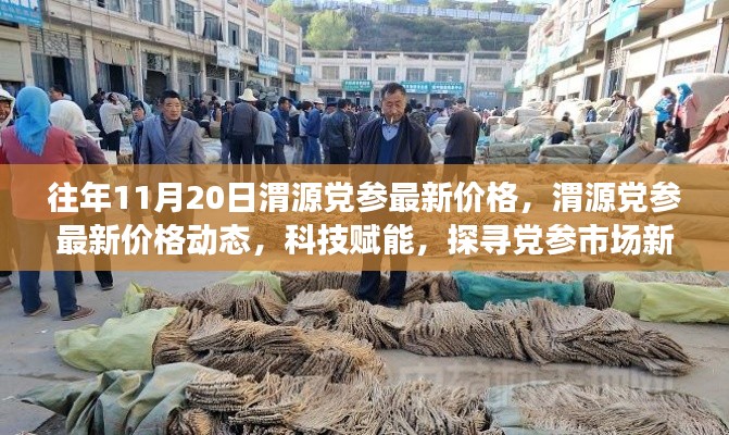 科技賦能下的渭源黨參市場新風(fēng)向，最新價格動態(tài)及市場趨勢分析（往年1月最新數(shù)據(jù)）