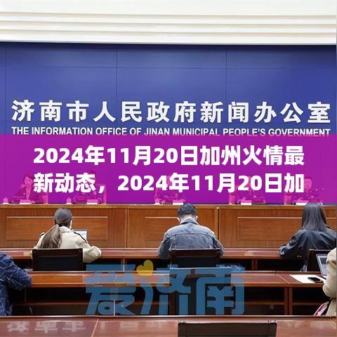 深度解析與個(gè)人立場(chǎng)下的加州火情最新動(dòng)態(tài)，多方觀點(diǎn)探討，2024年11月20日