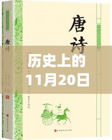麻衣神算子最新章節(jié)閱讀指南，歷史11月20日更新，初學(xué)者與進(jìn)階用戶(hù)必讀