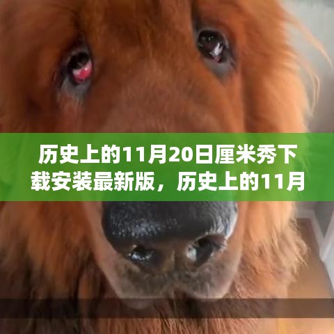 歷史上的11月20日，厘米秀最新版的探索之旅