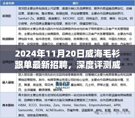 威海毛衫跟單最新招聘深度解析，特性、用戶體驗與目標(biāo)受眾分析