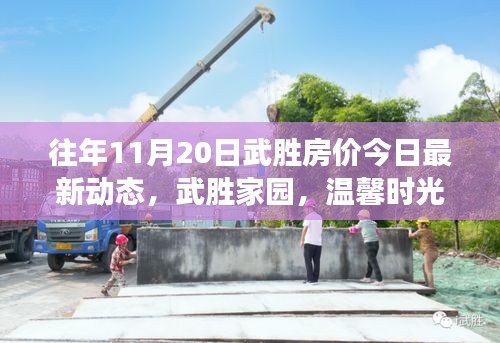 往年11月20日武勝房價今日最新動態(tài)，武勝家園，溫馨時光與房價的微妙交響曲