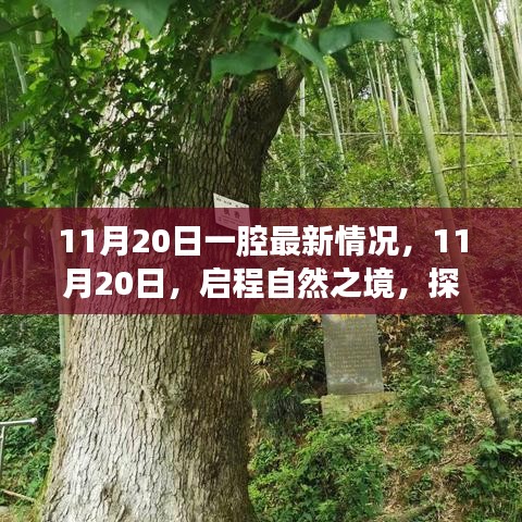 11月20日啟程自然之境，探尋內(nèi)心的桃花源最新動(dòng)態(tài)