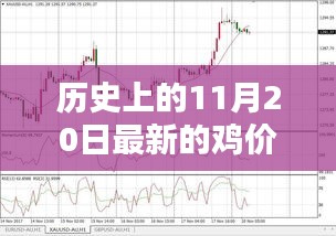 歷史上的雞價走勢，揭秘11月20日的雞價走勢分析
