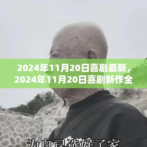 喜劇新作測評，歡笑與感動的完美結(jié)合（2024年11月20日最新）