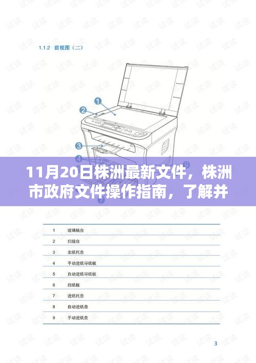 株洲市政府文件操作指南，解讀最新文件，適合初學(xué)者與進(jìn)階用戶了解遵循（11月20日版）