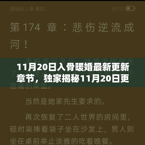 獨(dú)家揭秘，入骨暖婚最新更新章節(jié)，高科技革新重塑婚姻未來體驗(yàn)