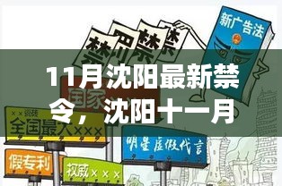 沈陽11月新禁令出臺，法規(guī)更新與溫馨瞬間